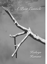 A Poor Canticle