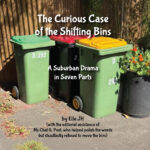 The Curious Case of the Shifting Bins (Flipbook)